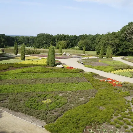 Restaurant Ramster בית הארחה