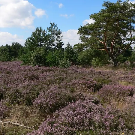 Restaurant Ramster 3*